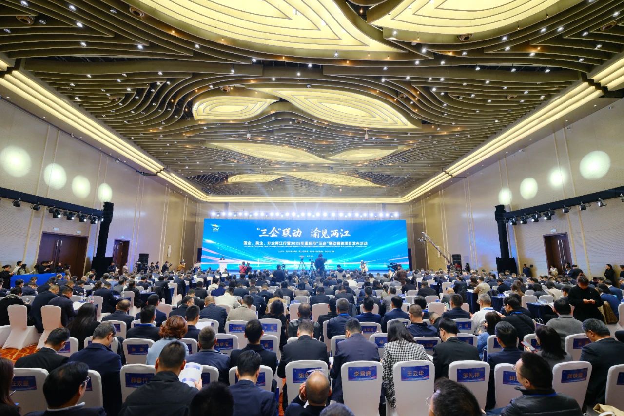 1743470250128390.jpg 微信圖片_20250401091554.jpg