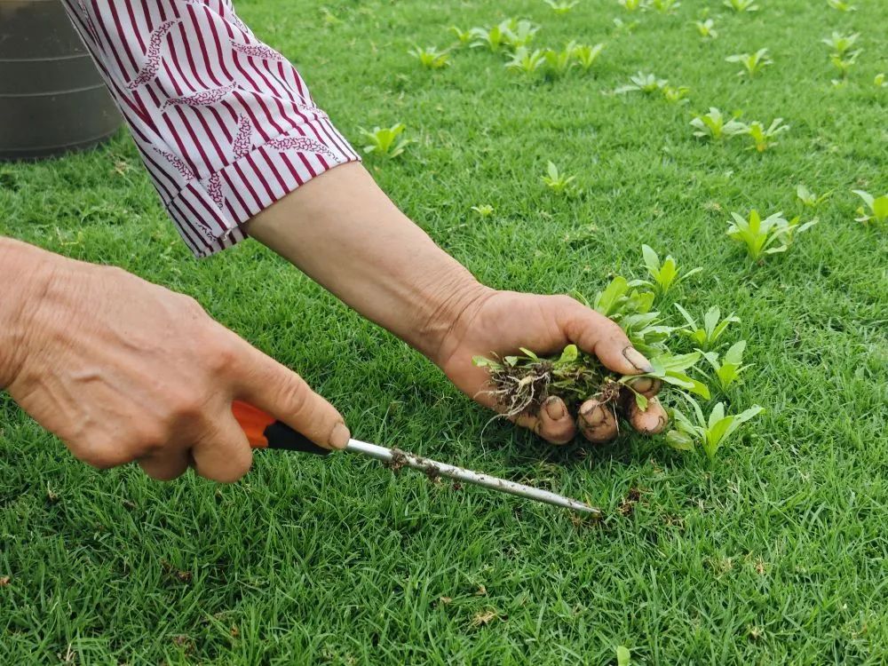 1745976180446235.jpg 微信圖片_2025-04-30_091821_107.jpg