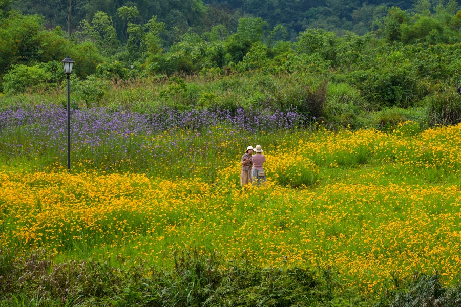 1747186655771924.jpeg 4.jpeg