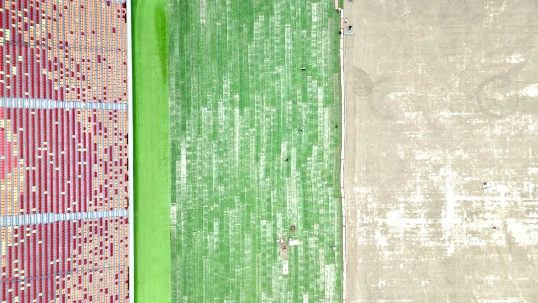 1750043345147858.jpg 微信圖片_20250616110837.jpg