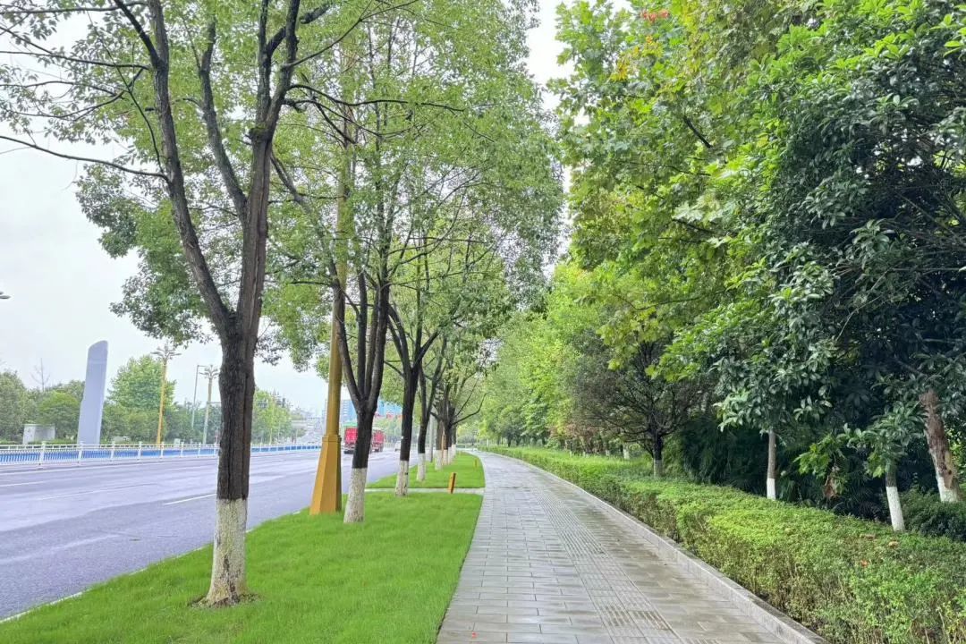 1750047048482506.jpg 微信圖片_20250616120929.jpg