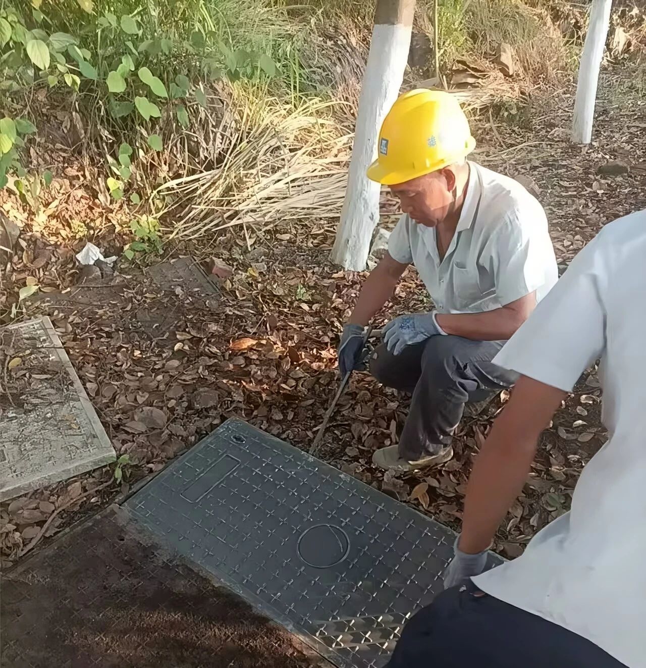 1750047150600703.jpg 微信圖片_20250616121006.jpg