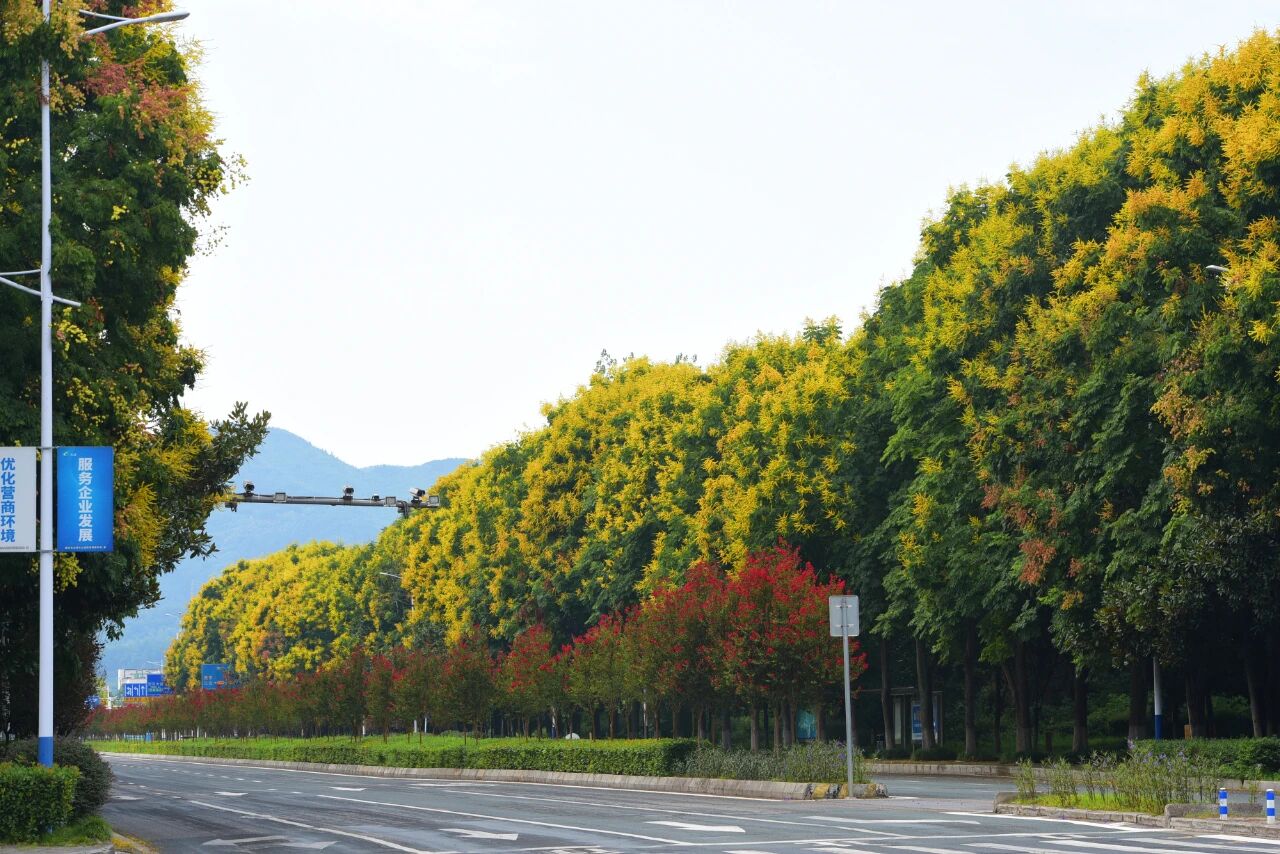 1757295206681946.jpg 1.jpg