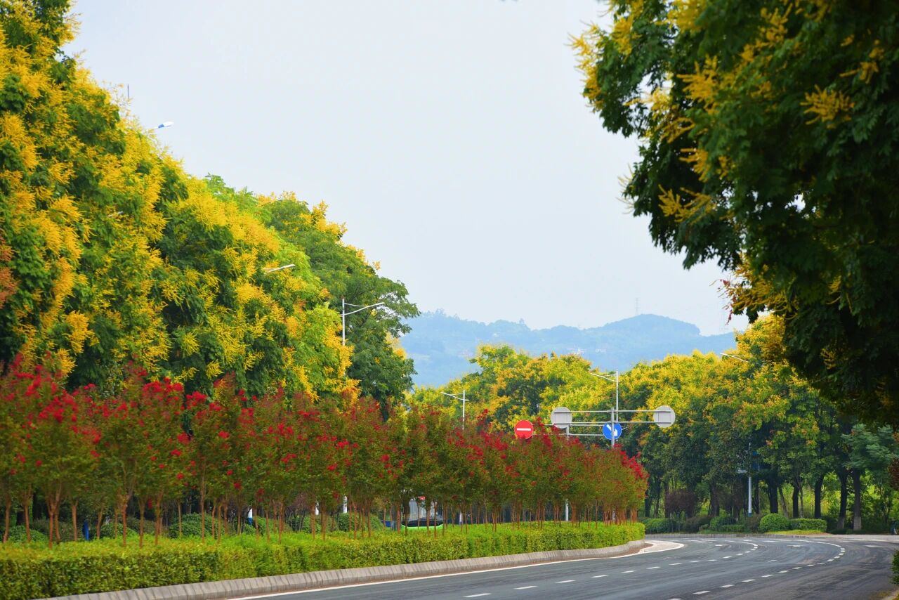 1757295251224874.jpg 2.jpg