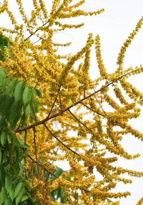 1757295263149012.jpg 9.jpg