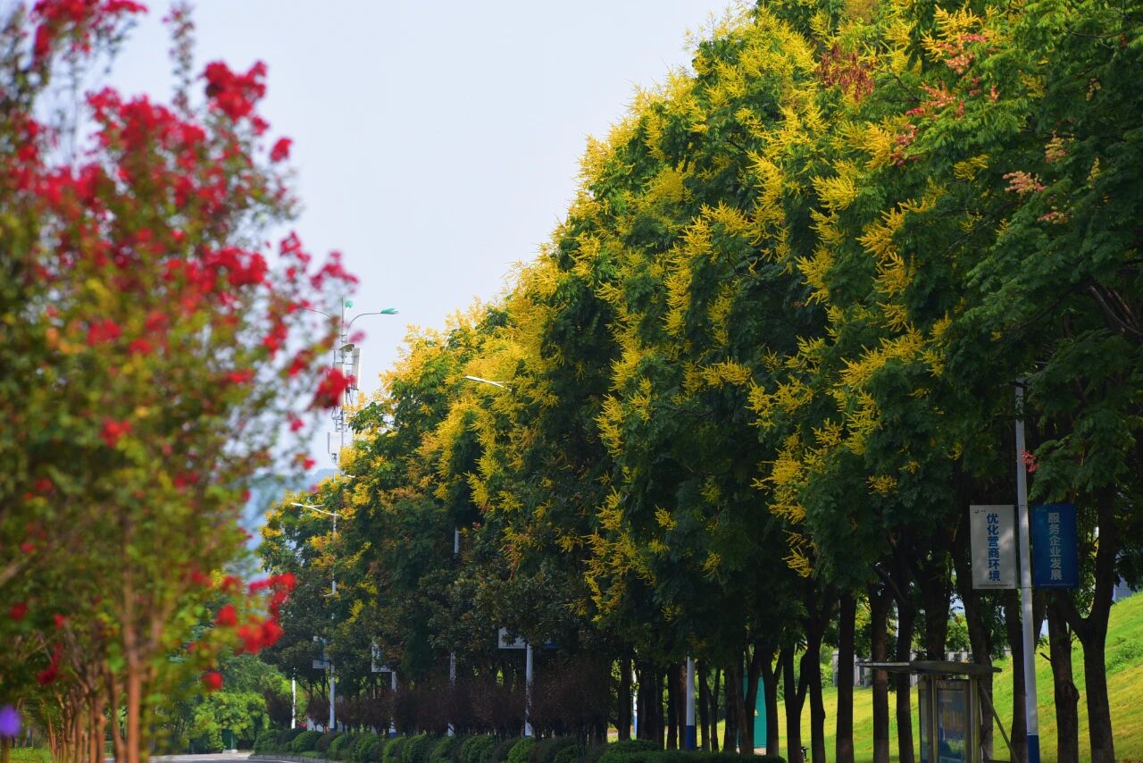 1757295280444194.jpg 13.jpg