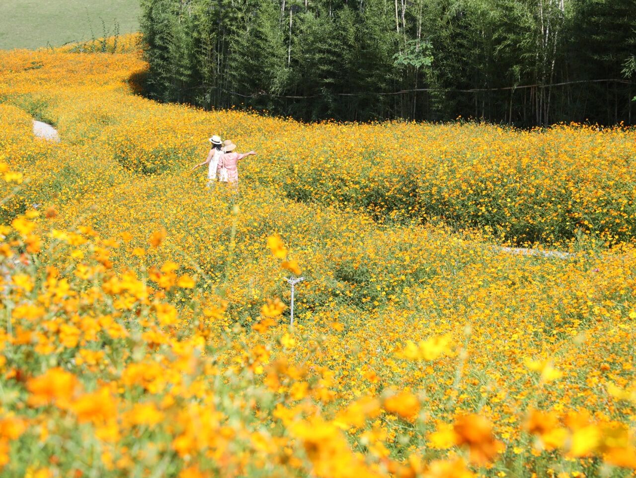 1760321478297560.jpg 微信圖片_2025-10-13_101042_662.jpg