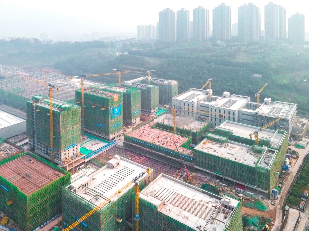 1768959328962878.jpg 微信圖片_2026-01-21_093333_234.jpg