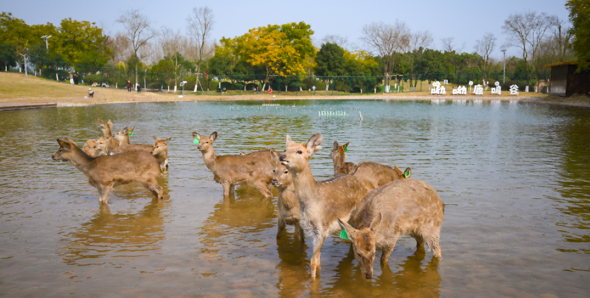 1771982771899421.png 微信圖片_2026-02-25_092215_696(1).png