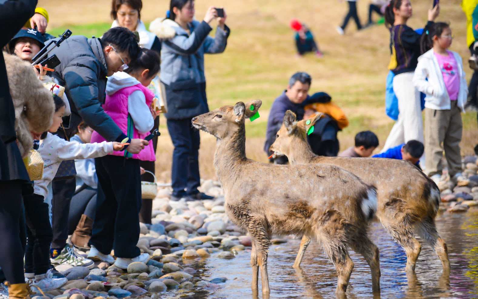 1771982813757237.png 微信圖片_2026-02-25_092232_241(1).png